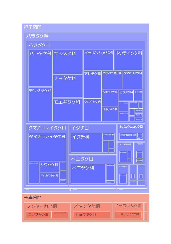 1年間同じ場所に通い続けると何種類のきのこに出会えるか？【神奈川県横浜市の一例】