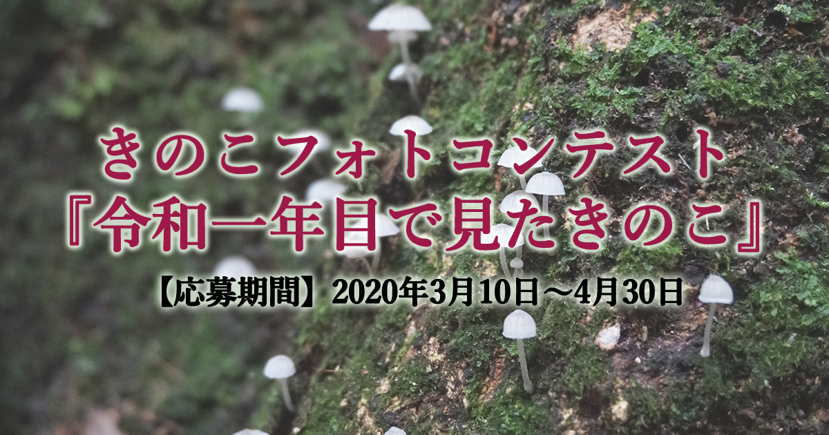 きのこフォトコンテスト『令和一年目に見たきのこ』