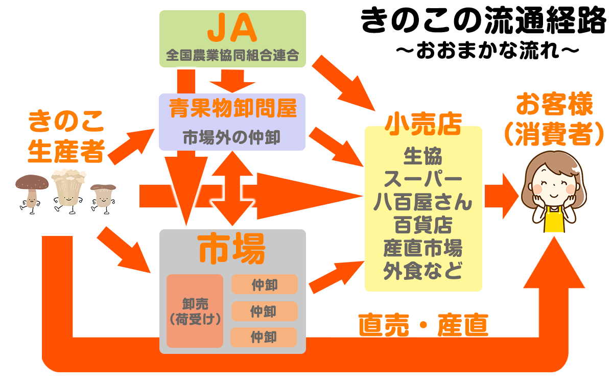 きのこの流通経路