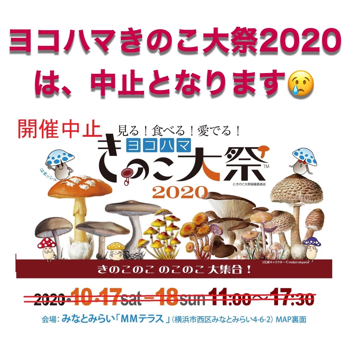 ヨコハマきのこ大祭2020 中止のお知らせ