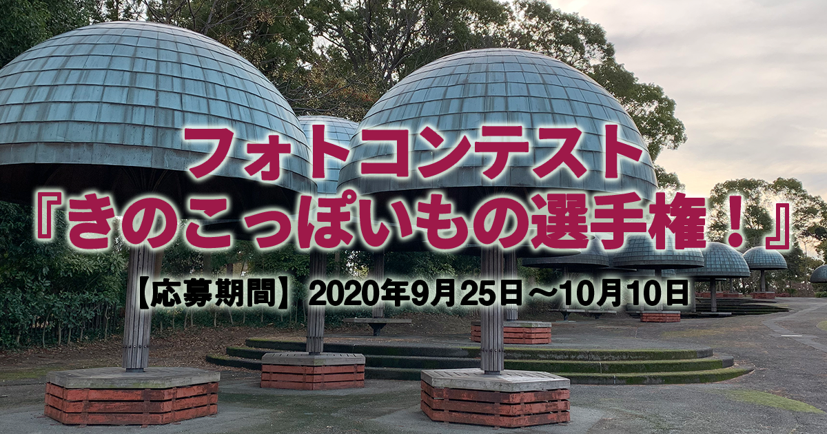 フォトコンテスト『きのこっぽいもの選手権！』