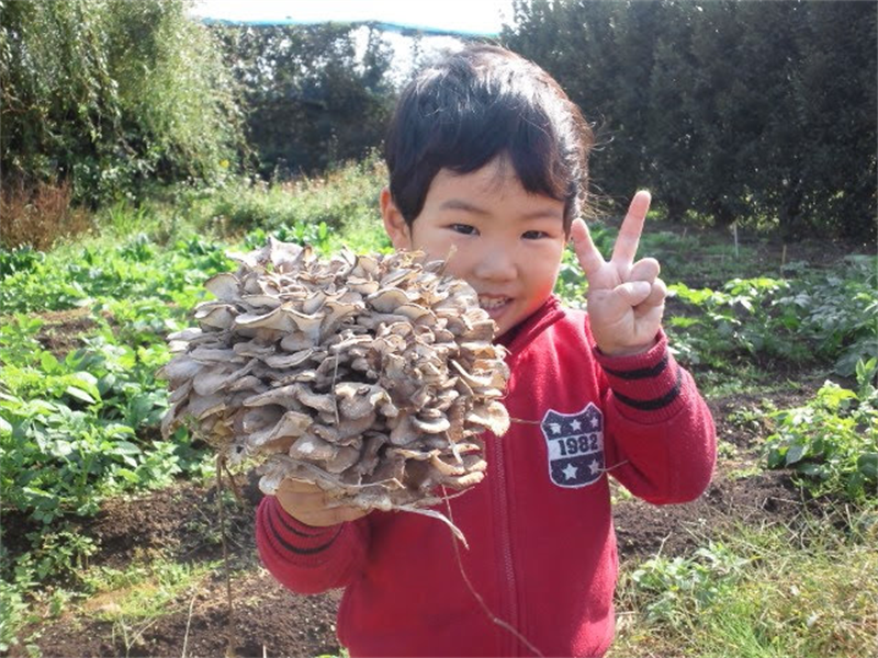 露木の子供と原木舞茸