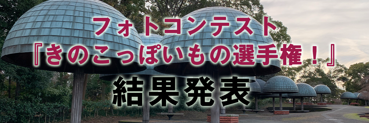 フォトコンテスト『きのこっぽいもの選手権！』 結果発表