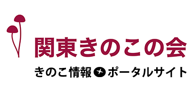 旧タイトルデザイン