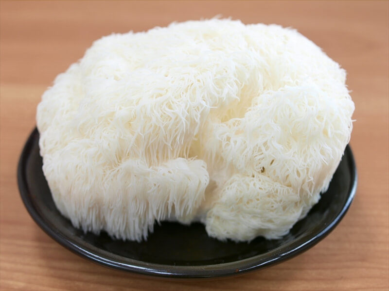 Lion's mane mushroom：ヤマブシタケ