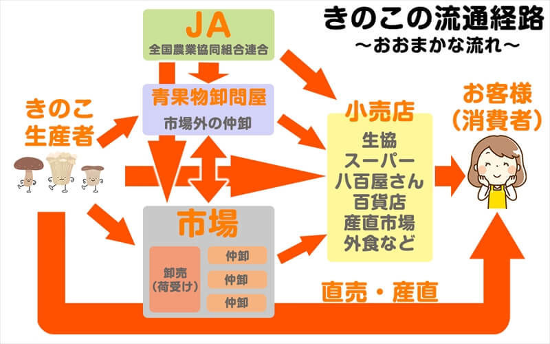 きのこの流通経路は様々