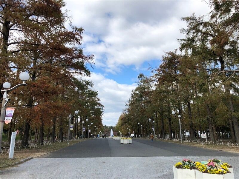 緑あふれる鶴見緑地