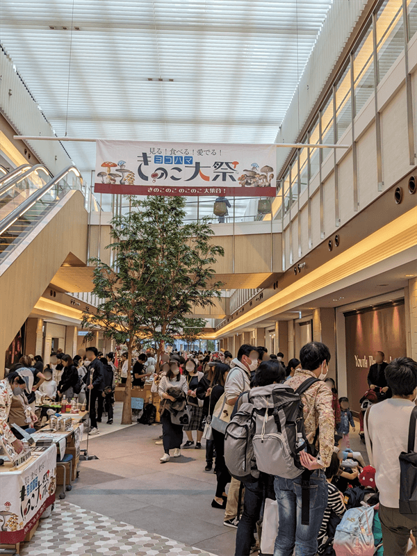 ヨコハマきのこ大祭の会場