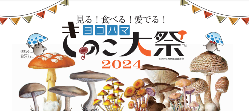 ヨコハマきのこ大祭2024